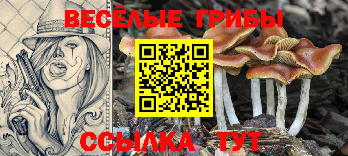 Галлюциногенные грибы мицелий  Галлюциногенные грибы прущие грибы  Дагестанские Огни  Вход с VPN 