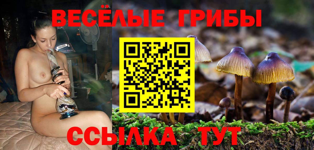 Галлюциногенные грибы GOLDEN TEACHER Дагестанские Огни